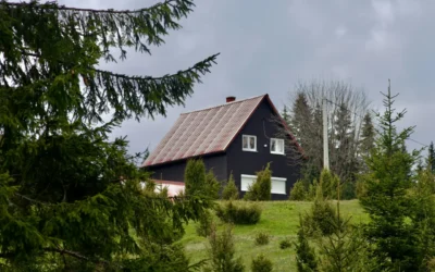 Jak domy z drewna w stylu skandynawskim łączą naturę i nowoczesność?